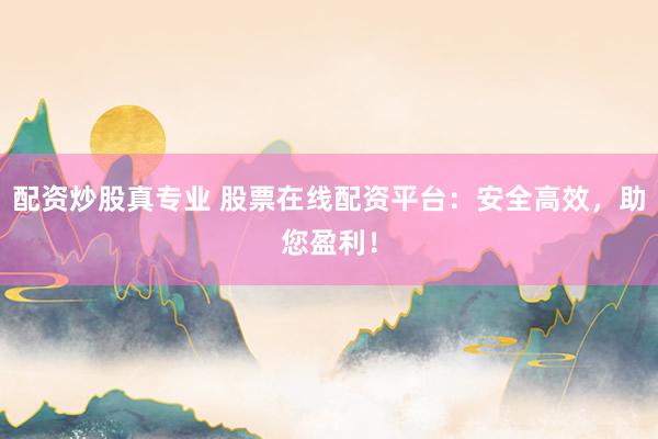 配资炒股真专业 股票在线配资平台：安全高效，助您盈利！