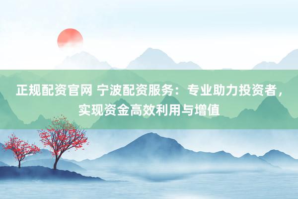正规配资官网 宁波配资服务：专业助力投资者，实现资金高效利用与增值