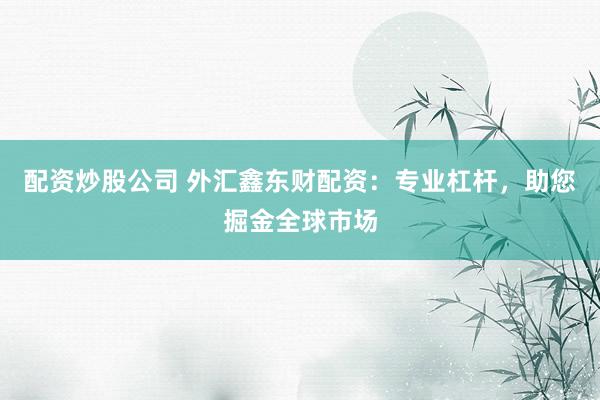 配资炒股公司 外汇鑫东财配资：专业杠杆，助您掘金全球市场